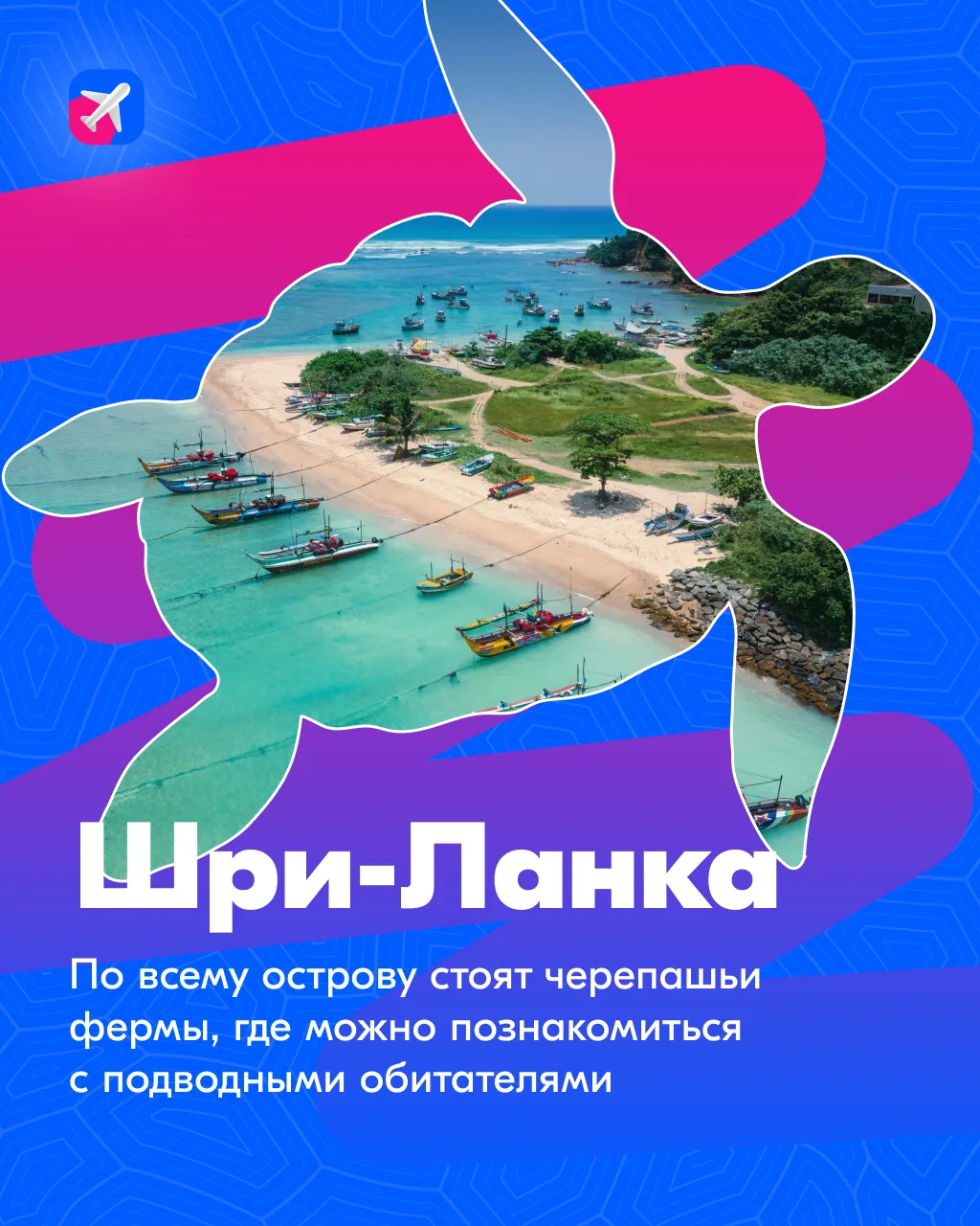 🐢 А если мы скажем, что День черепах существует, и празднуют его сегодня — 23 мая?  ✨ Нам кажется, т