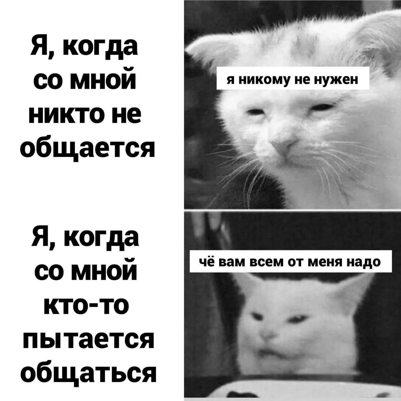У кого также?