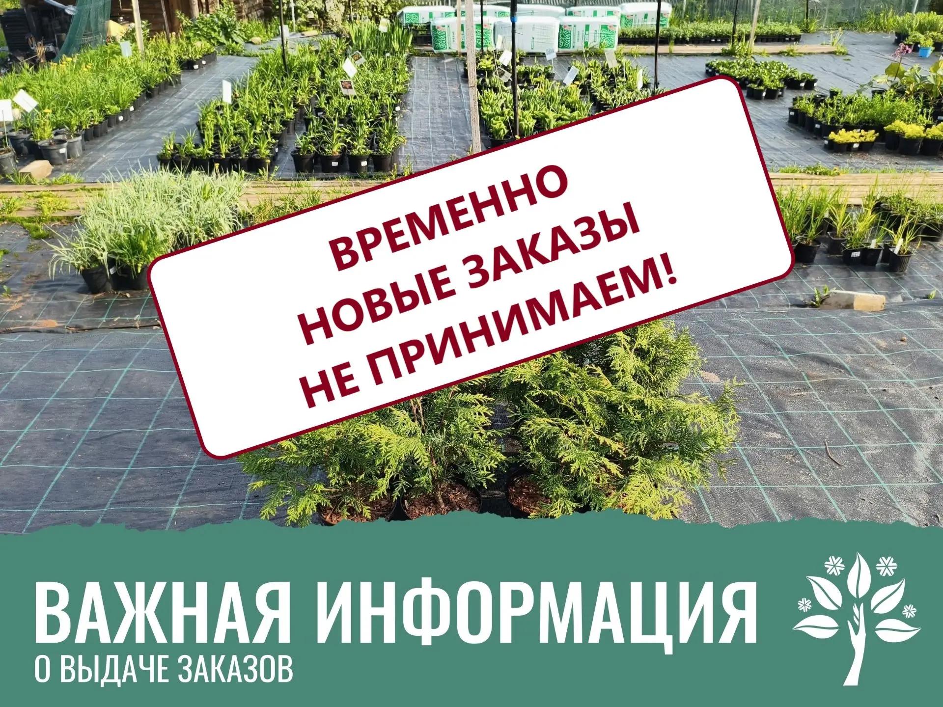 В СВЯЗИ С БОЛЬШОЙ ЗАГРУЖЕННОСТЬЮ С 20 МАЯ НОВЫЕ ЗАКАЗЫ ВРЕМЕННО НЕ ПРИНИМАЮТСЯ!
