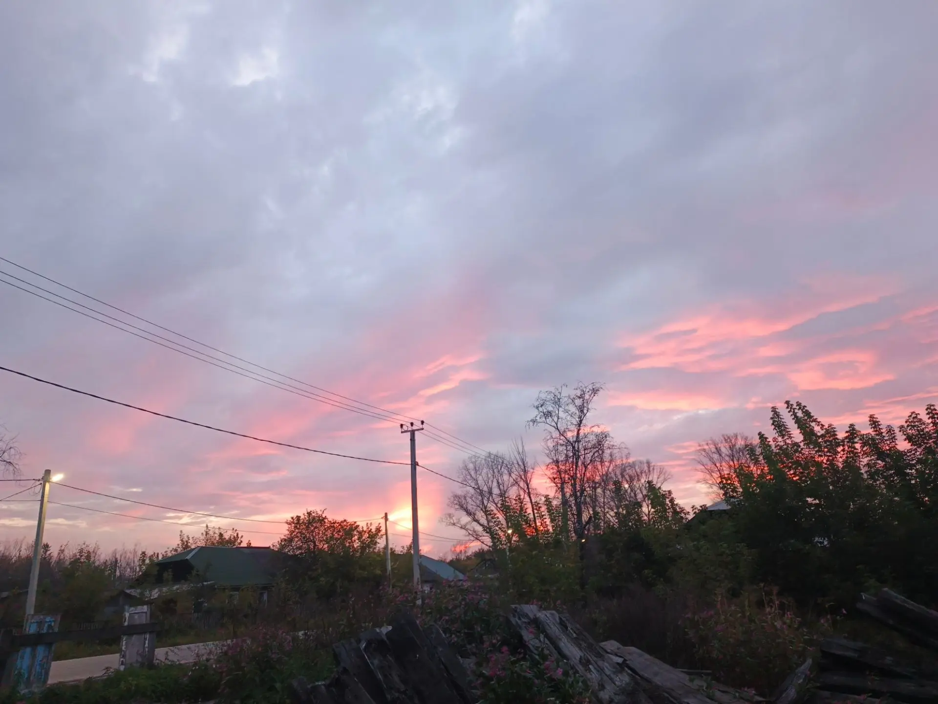 Вчера вечером сфотографировала 🌇
