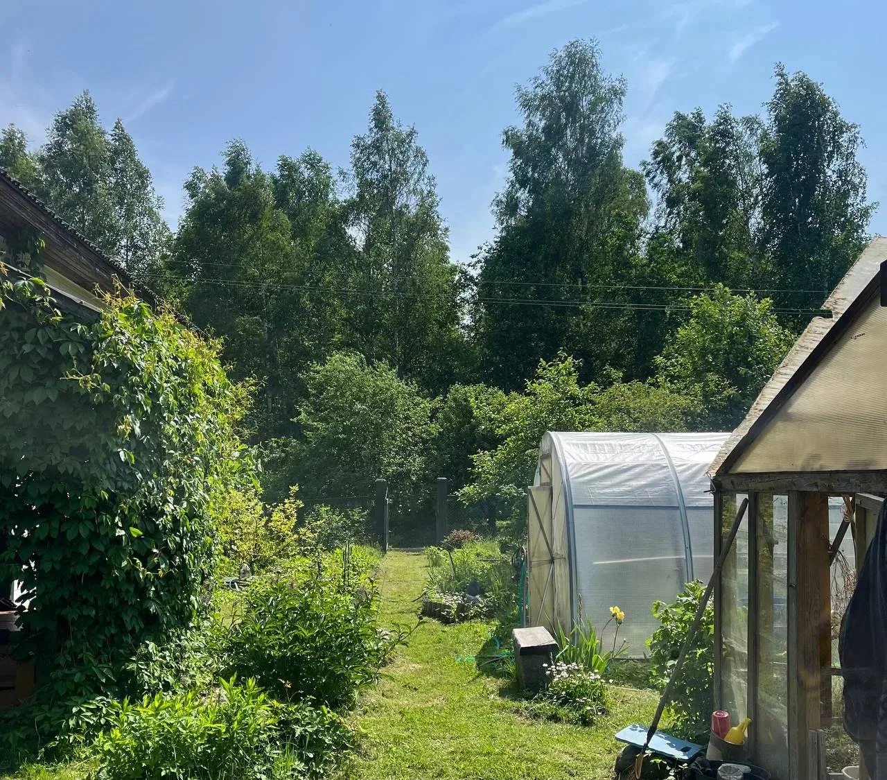 Петербург вошел в топ-5 городов по онлайн-заказам для дач

🌸С наступлением лета россияне  активно з