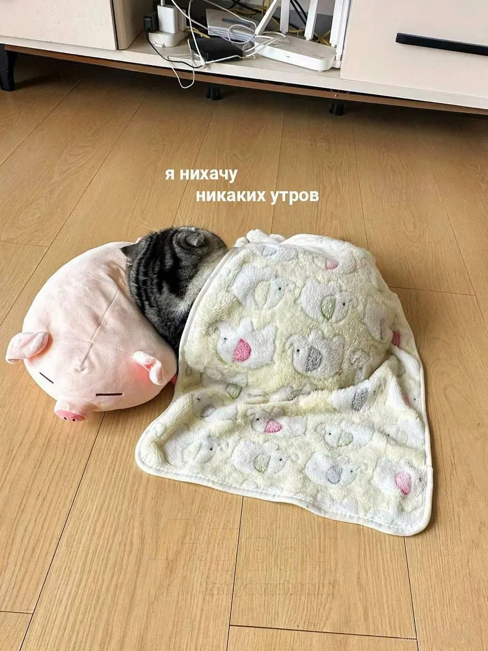Доброе утро😁