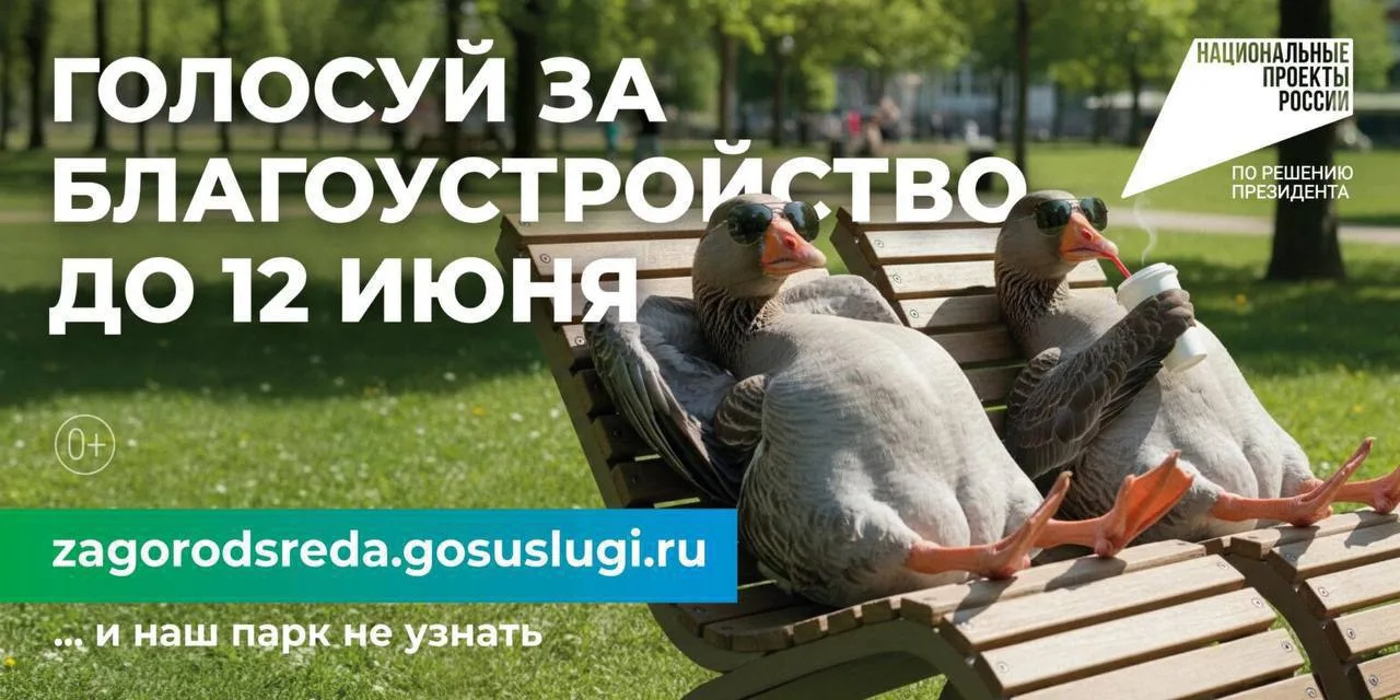 🌳Краснодарцы могут принять участие в голосовании за благоустройство зелёных зон!