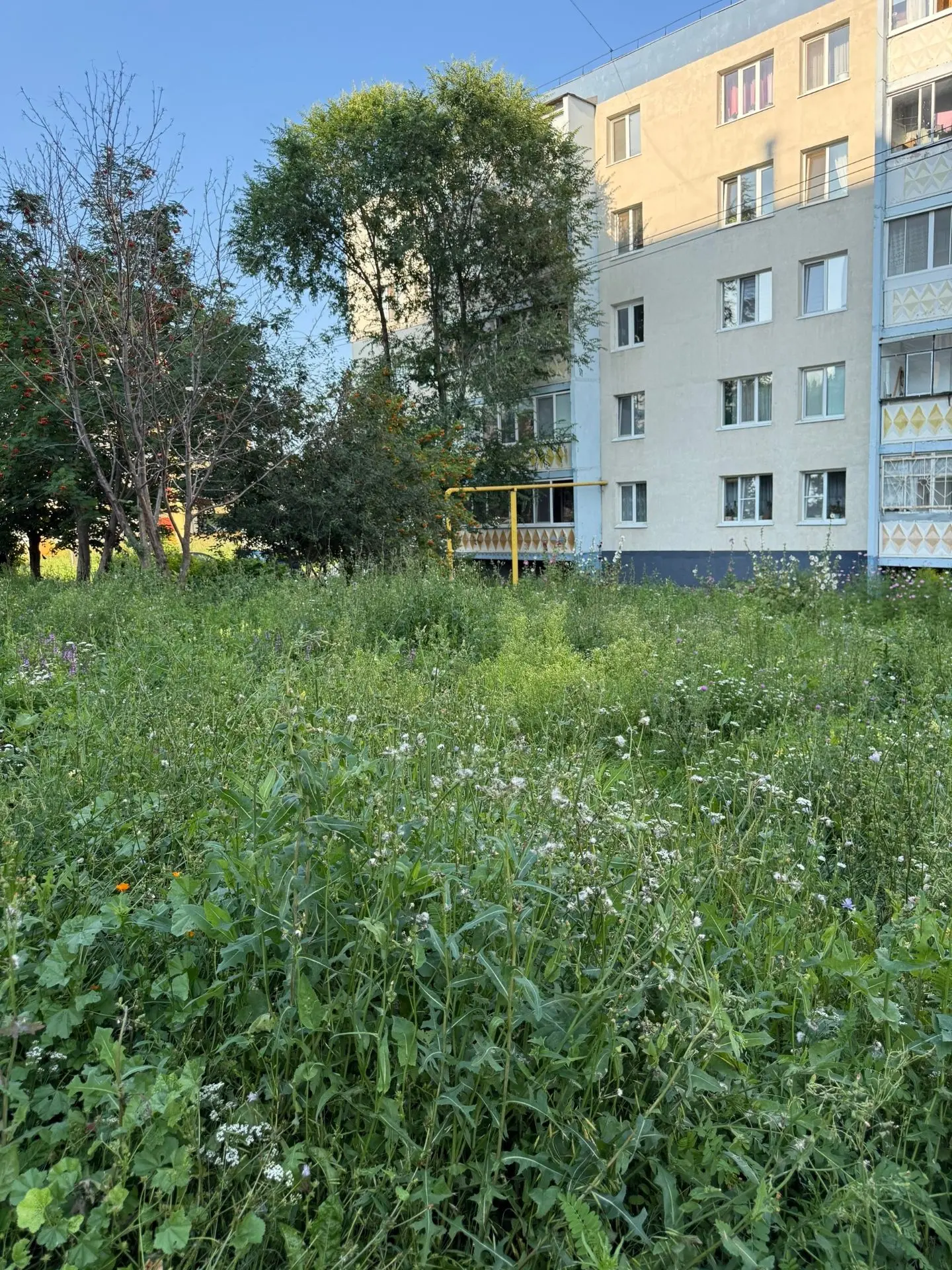"Что с городом 😡" пишут жители Альметьевска! И действительно, во многих дворах города ...