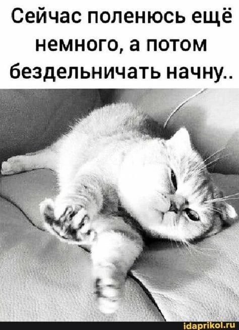 20 августа - день лени. Наш профессиональный праздник, получается😁