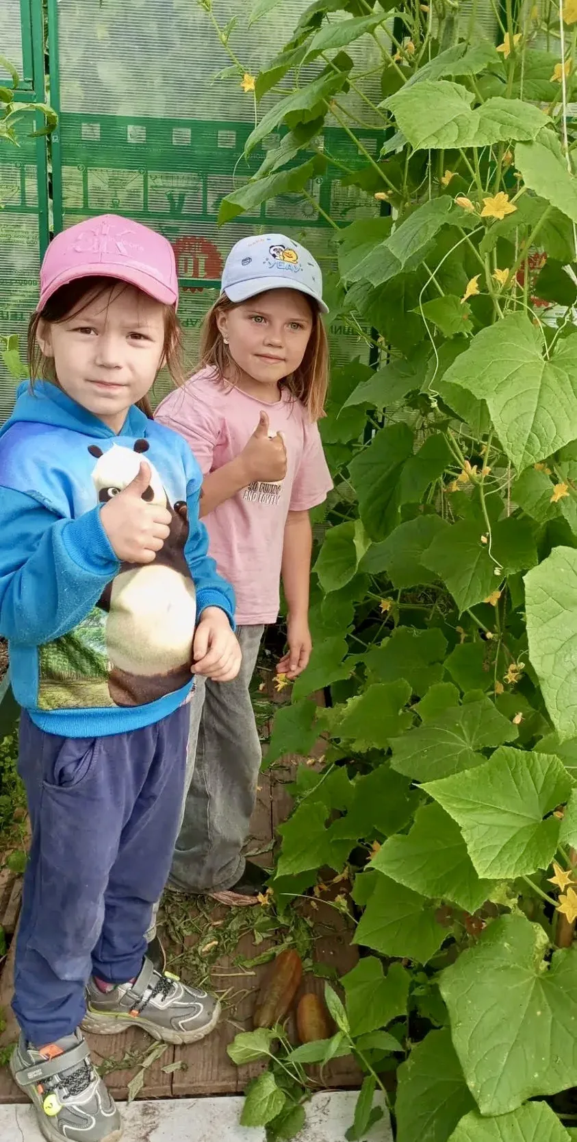👋 У «Лучиков» был урок ботаники прямо на свежем воздухе. ☀️🌿
Совершили небольшую экспедицию в наш 