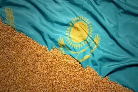 Казахстан и Китай начали работу с совместной цифровой платформой для торговли зерном и ...
