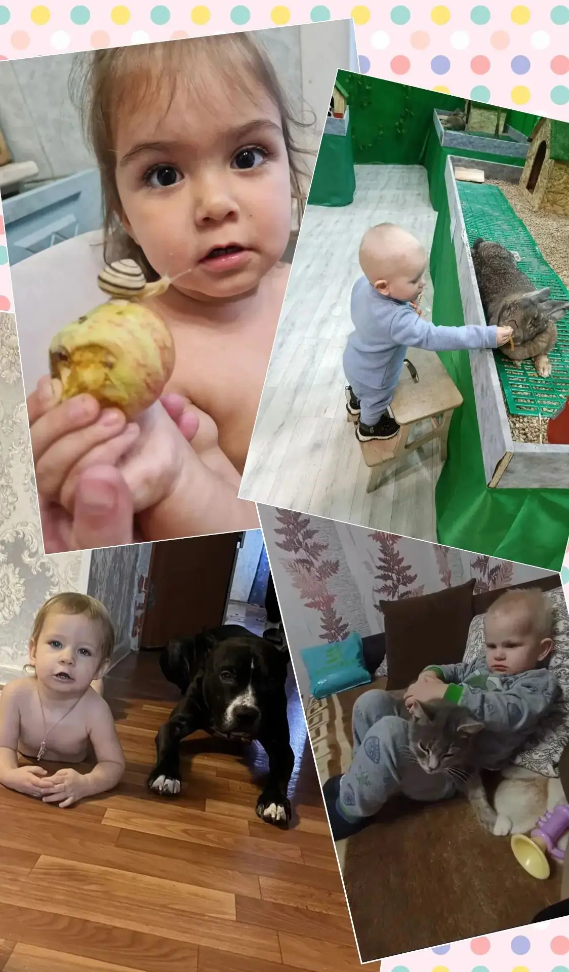 Тема недели: "Домашние животные" прошла в 1 младшей группе №3 очень интересно: мы с реб...