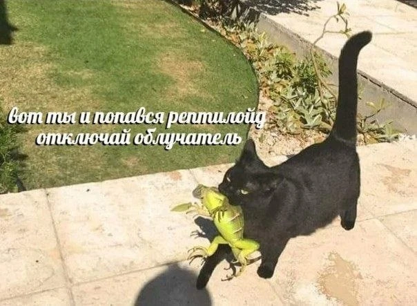 Мемы и приколы