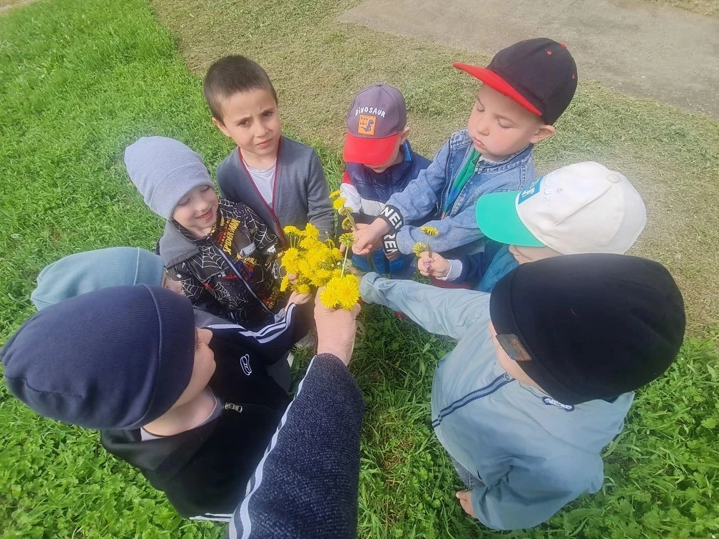 🌼 День одуванчиков: наша яркая прогулка в детском саду