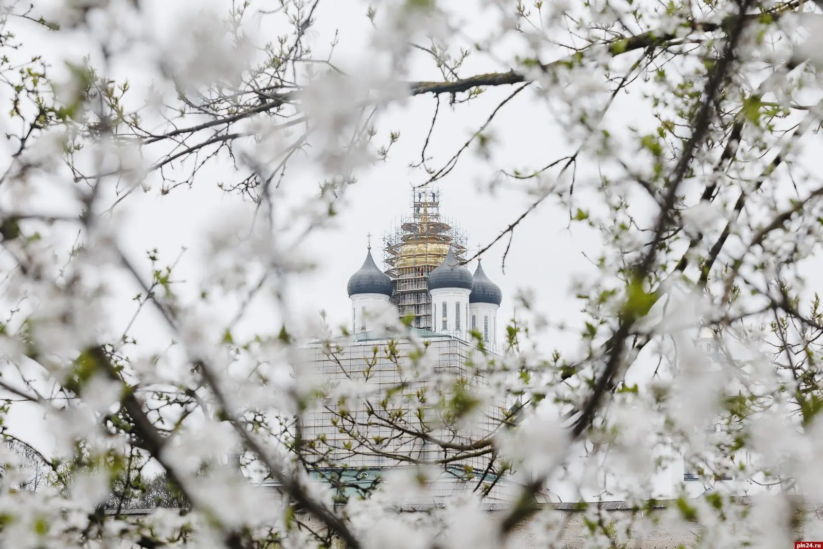 🌱 В Псковской области начинается агрометеорологическое лето  Начальник Псковского гидрометцентра Тал