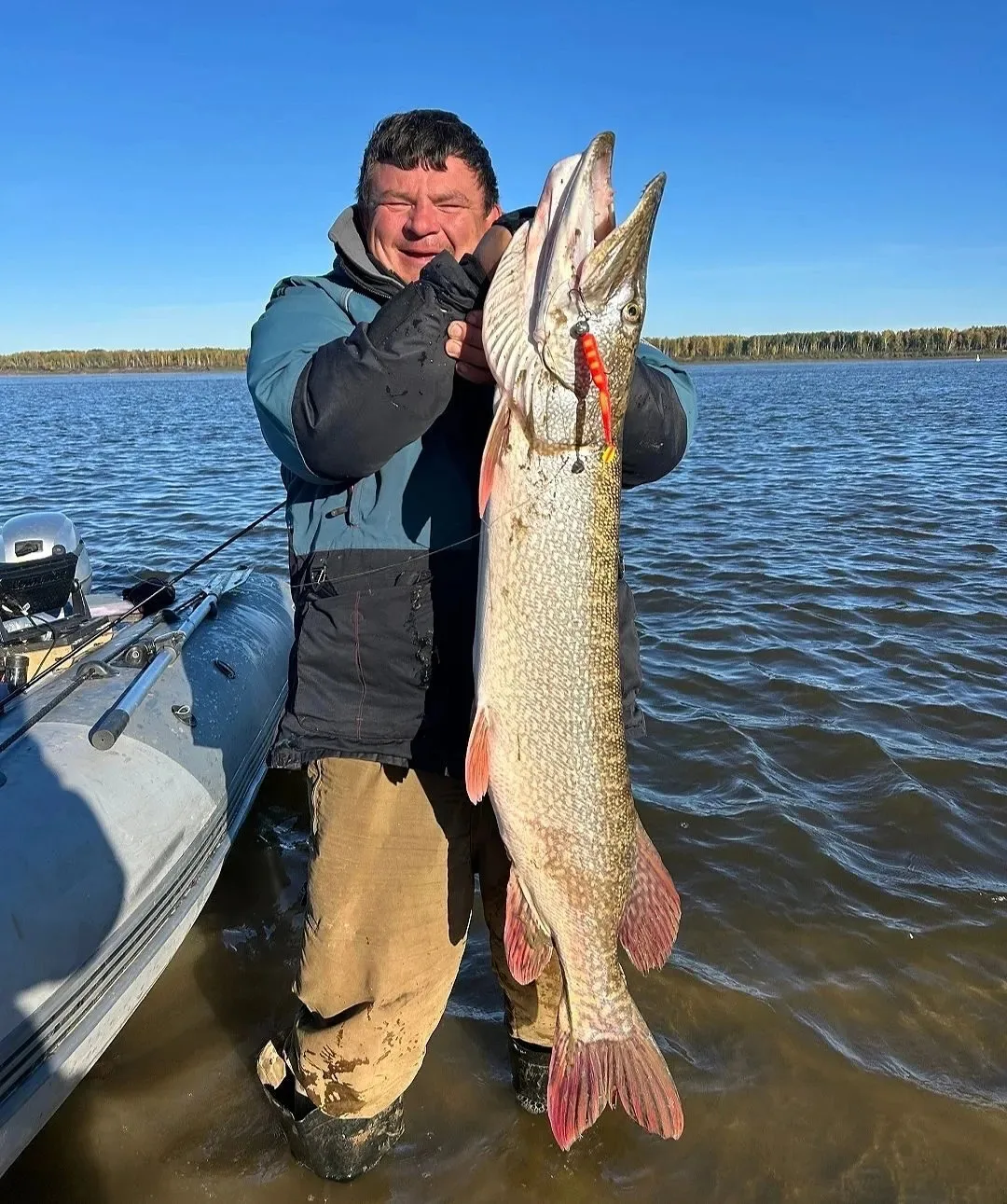 Успеваем пока осень 🍂 Щука идёт 🦈