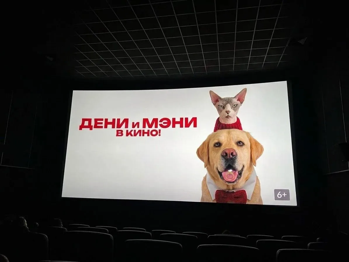 Наш большой киномарафон! 🍿🎬
Какой же насыщенный день у нас сегодня выдался! Мы всей дружной лагерн