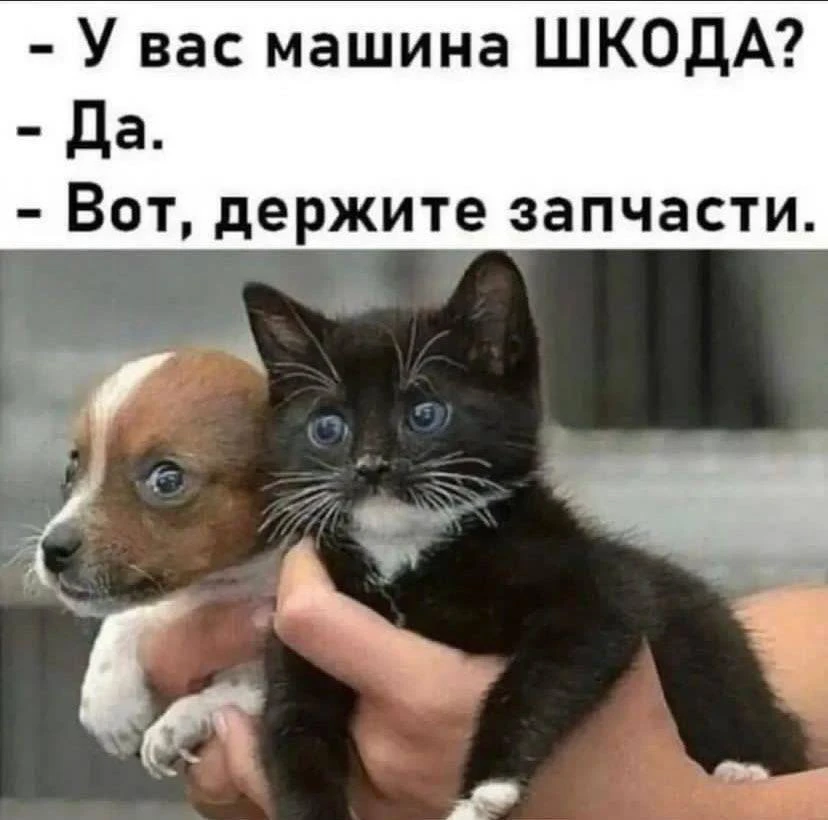 Подпишись на юмор 😂