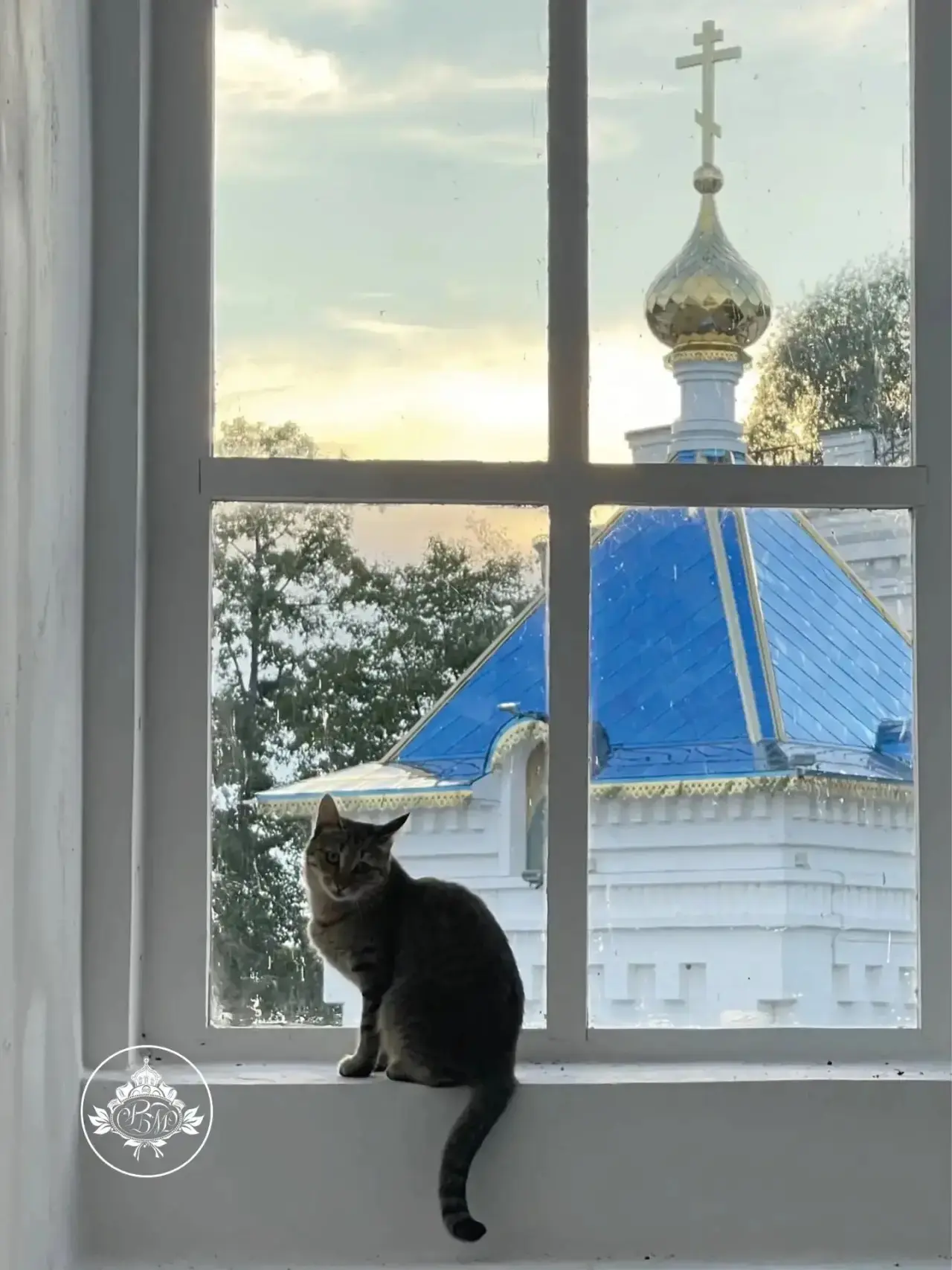 🐈 С добрым утром, дорогие братья и сестры!