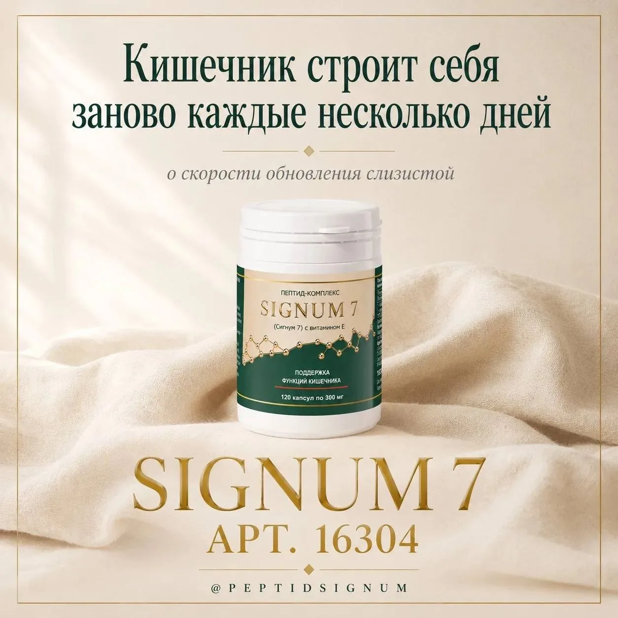 Кишечник строит себя заново каждые несколько дней 🗓️