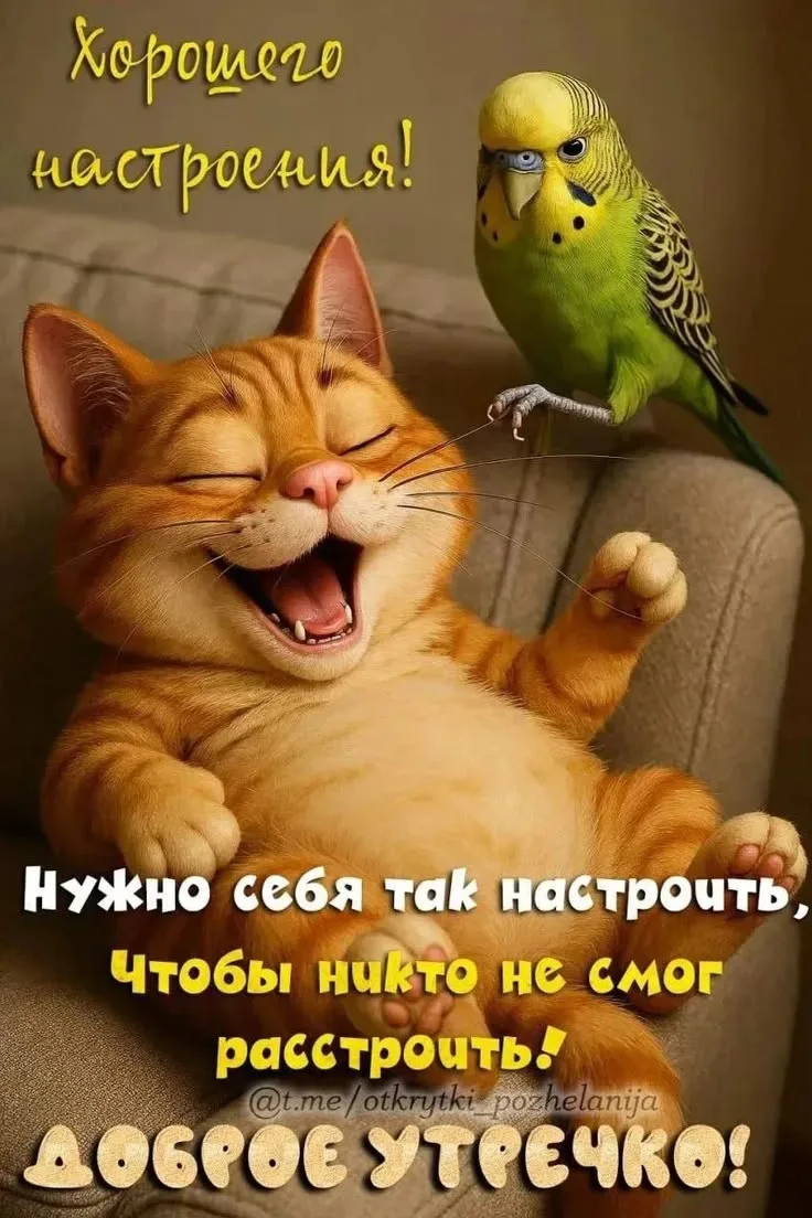 Самого доброго утра!☀️  Я - Пенсионер✅