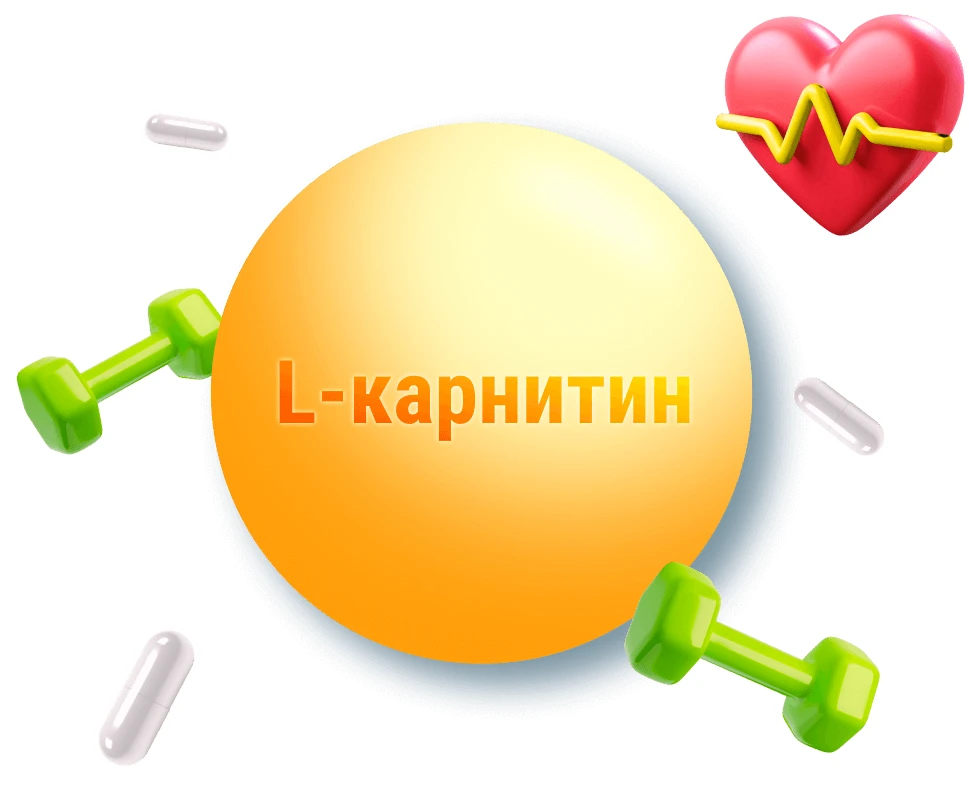 L-карнитин: почему он не сожжёт ваш жир, но может спасти сердце 🫀