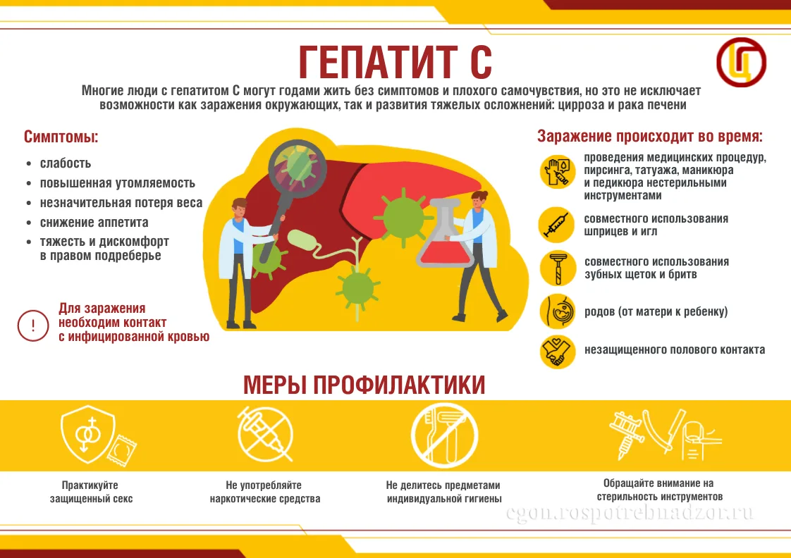 🧬 Гепатит С в 2026 году: от «ласкового убийцы» до полностью излечимой инфекции