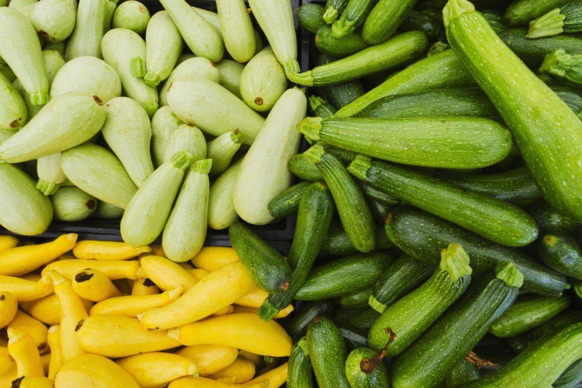 Кабачок — один из лучших овощей для здорового рациона 🥒   Кабачок считается лёгким и низкокалорийным