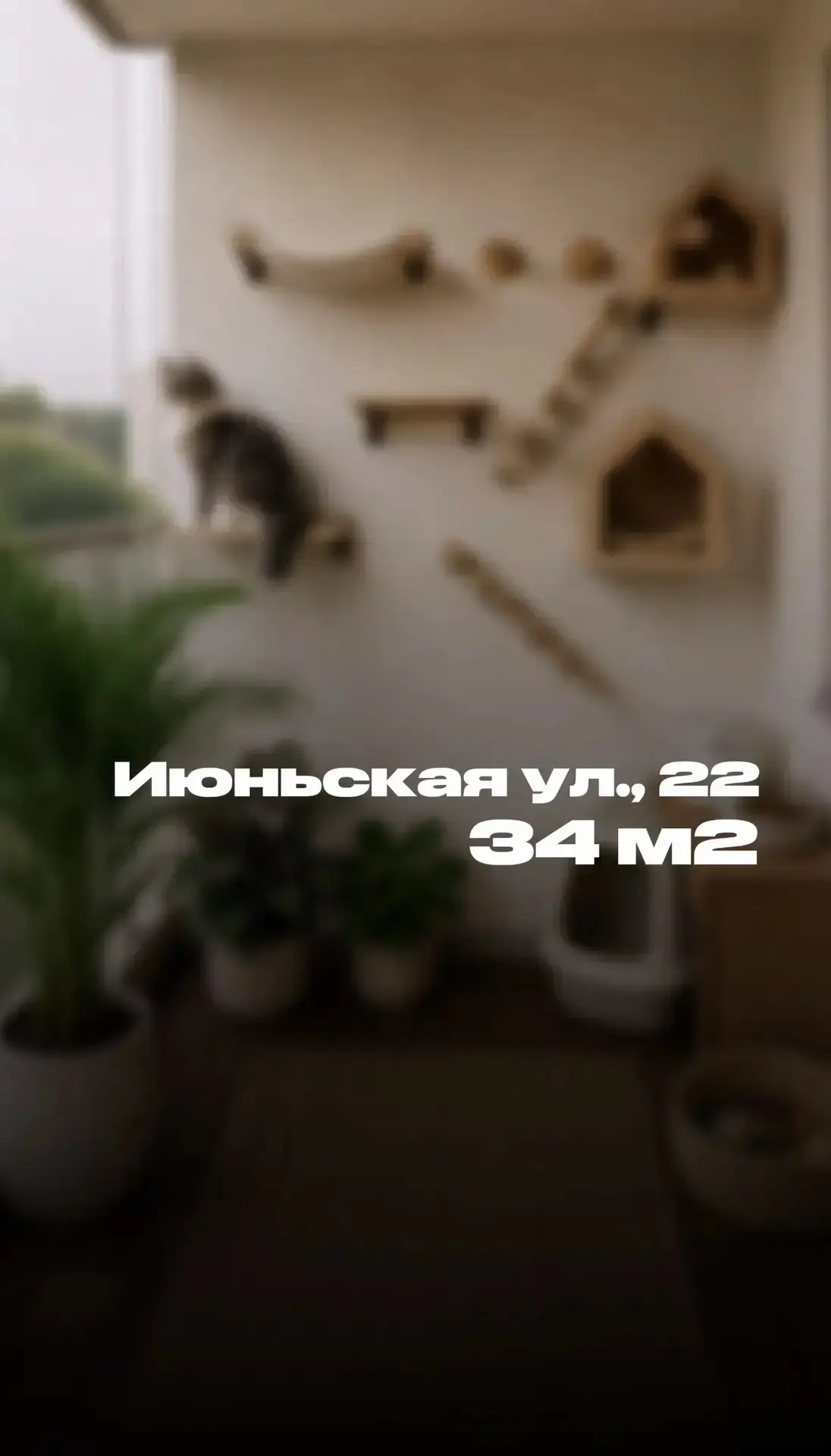 Ищете не просто квадратные метры,
 а место, где захочется просыпаться по утрам?

📍 1-комнатная, 34.