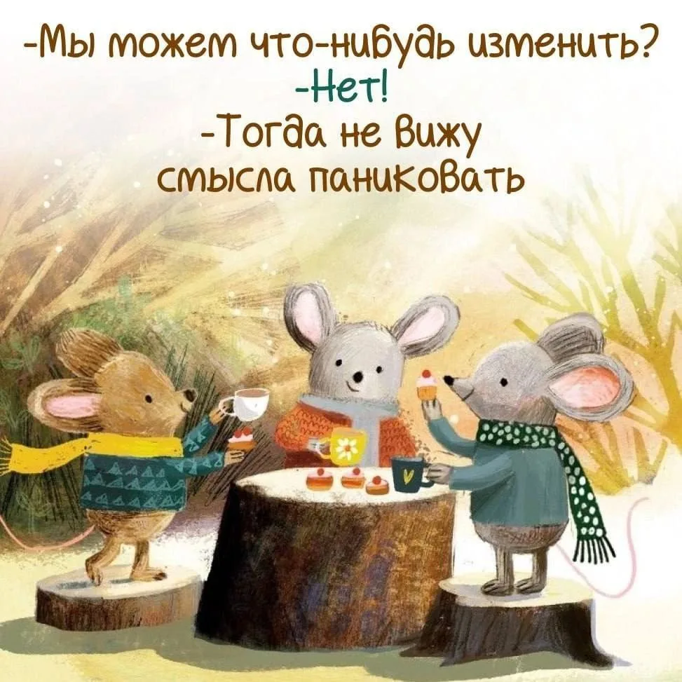 Не теряй нас, жми подписаться👇