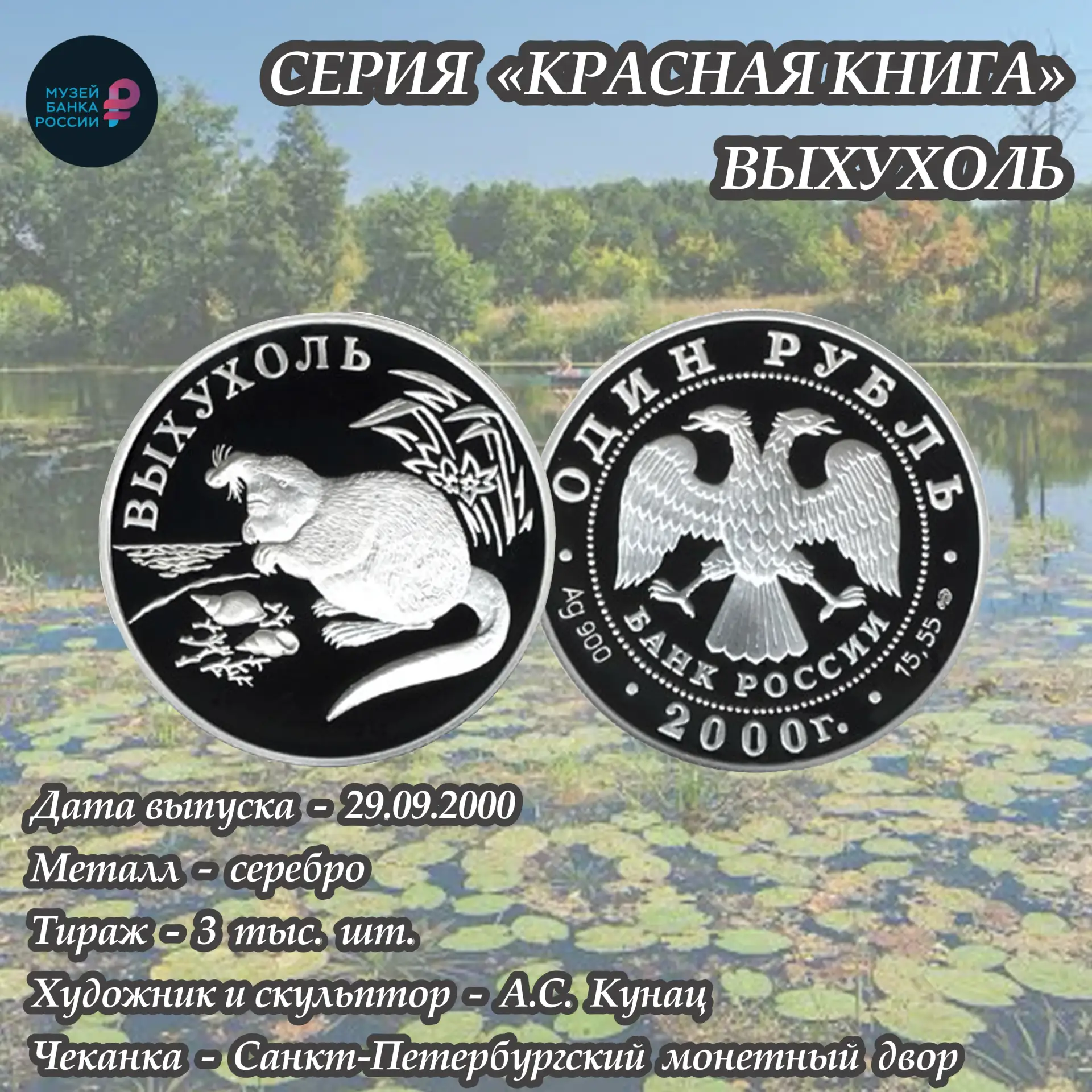 Выхухоль на монете: редкий зверек, который любит темноту и чистую воду