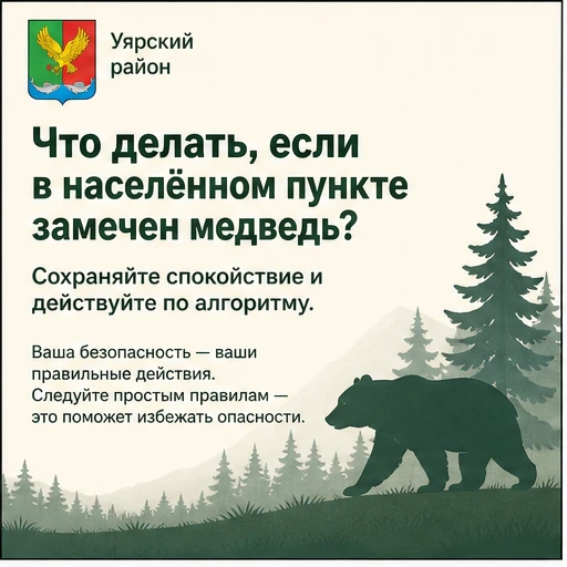 🐻 Памятка для жителей Уярского района: что делать при встрече с медведем