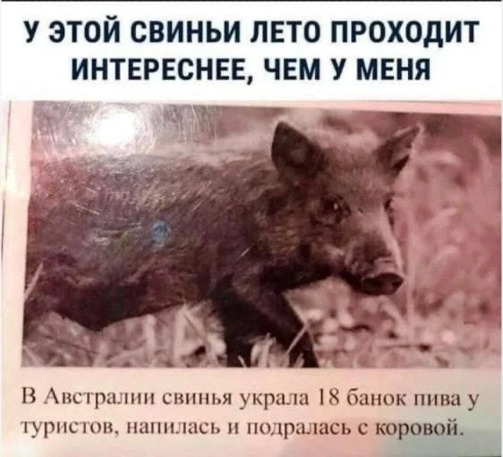 😂😂😂

Топ приколы — Подписывайся