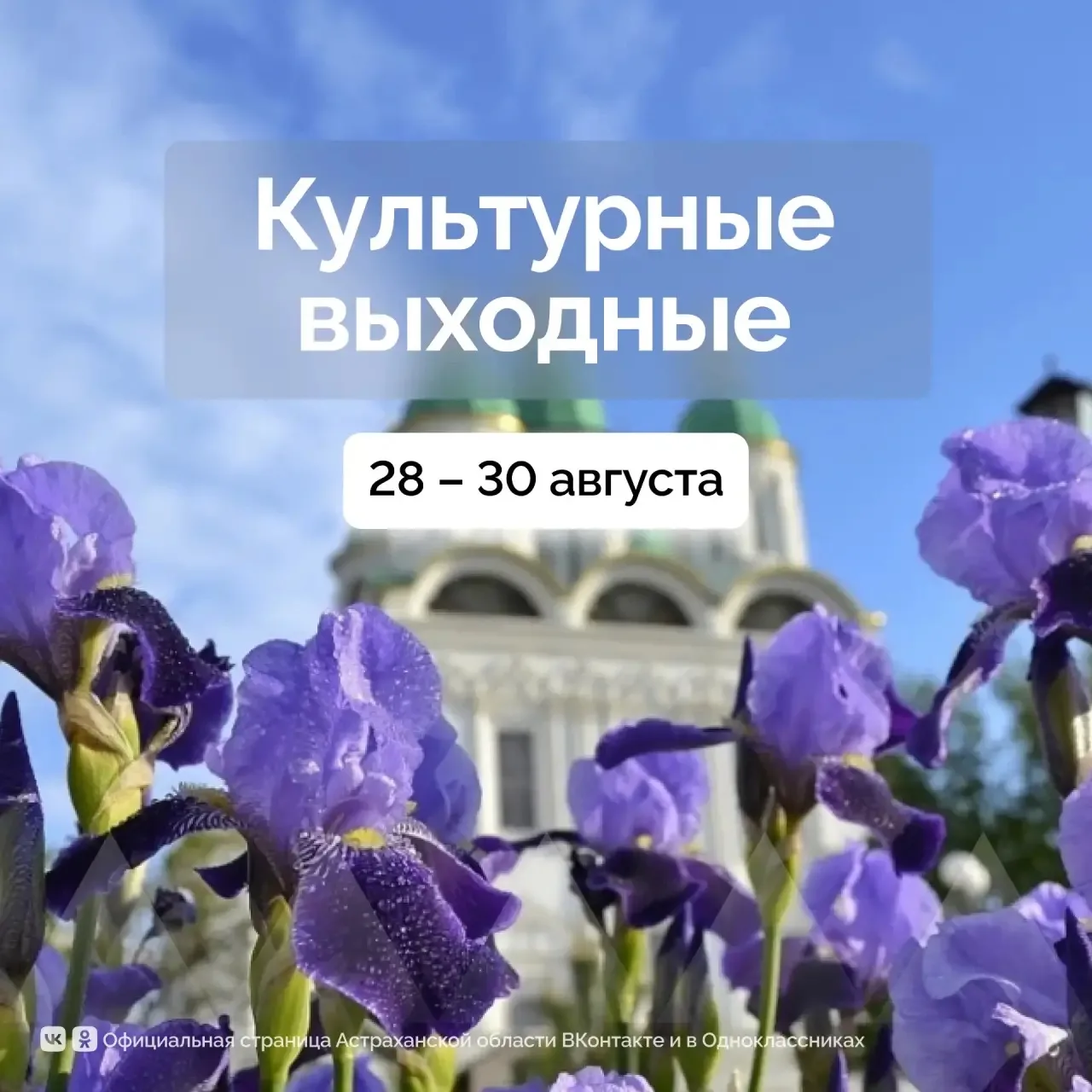 Решили вам помочь в планировании выходных, забирайте подборку! Спектакли, мастер-классы...