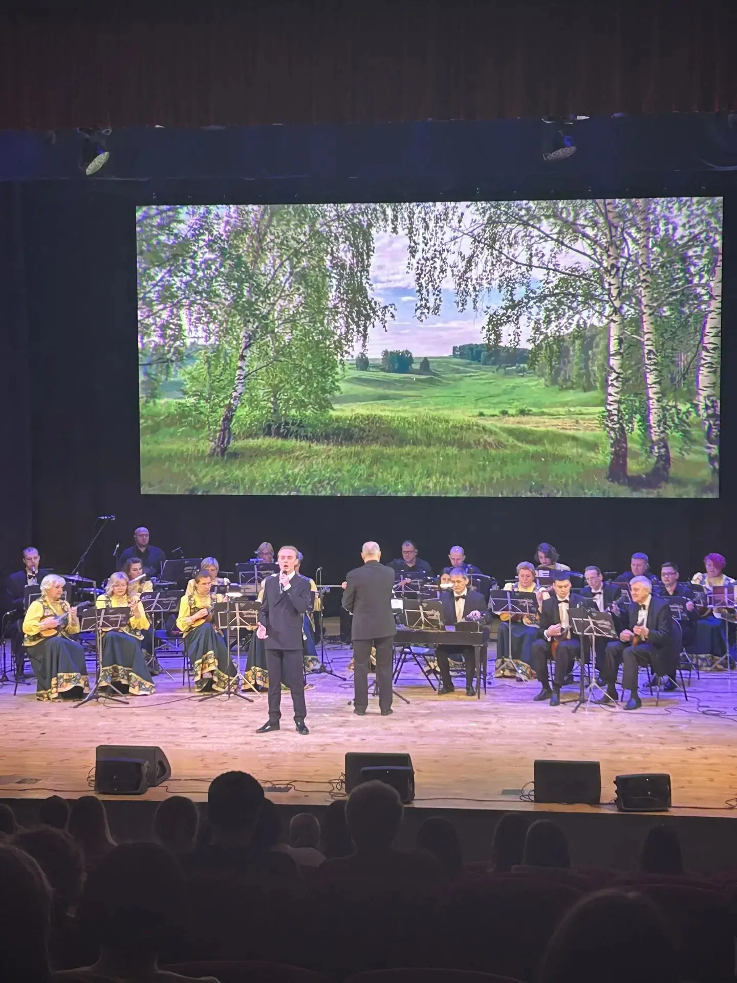 🔹Пушкинская карта в действии🔹 🎶ВДОХНОВЛЕННЫЕ ЛЮБОВЬЮ  🪗Владимирский русский оркестр и солисты Владим