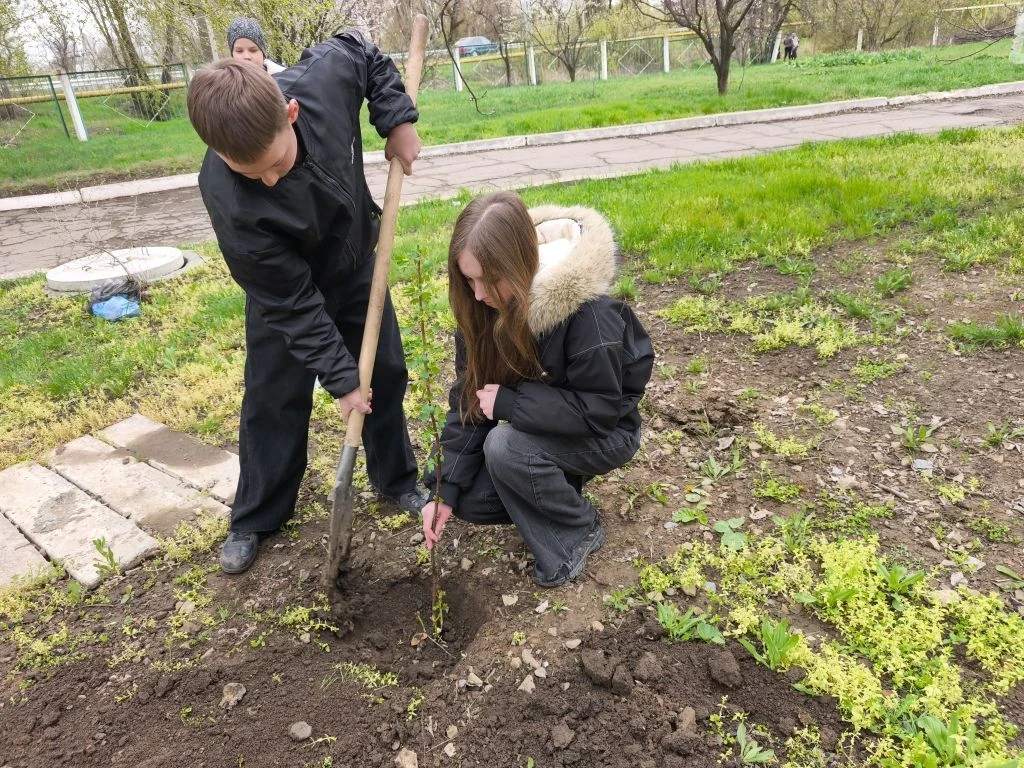 🌿САД ПАМЯТИ...