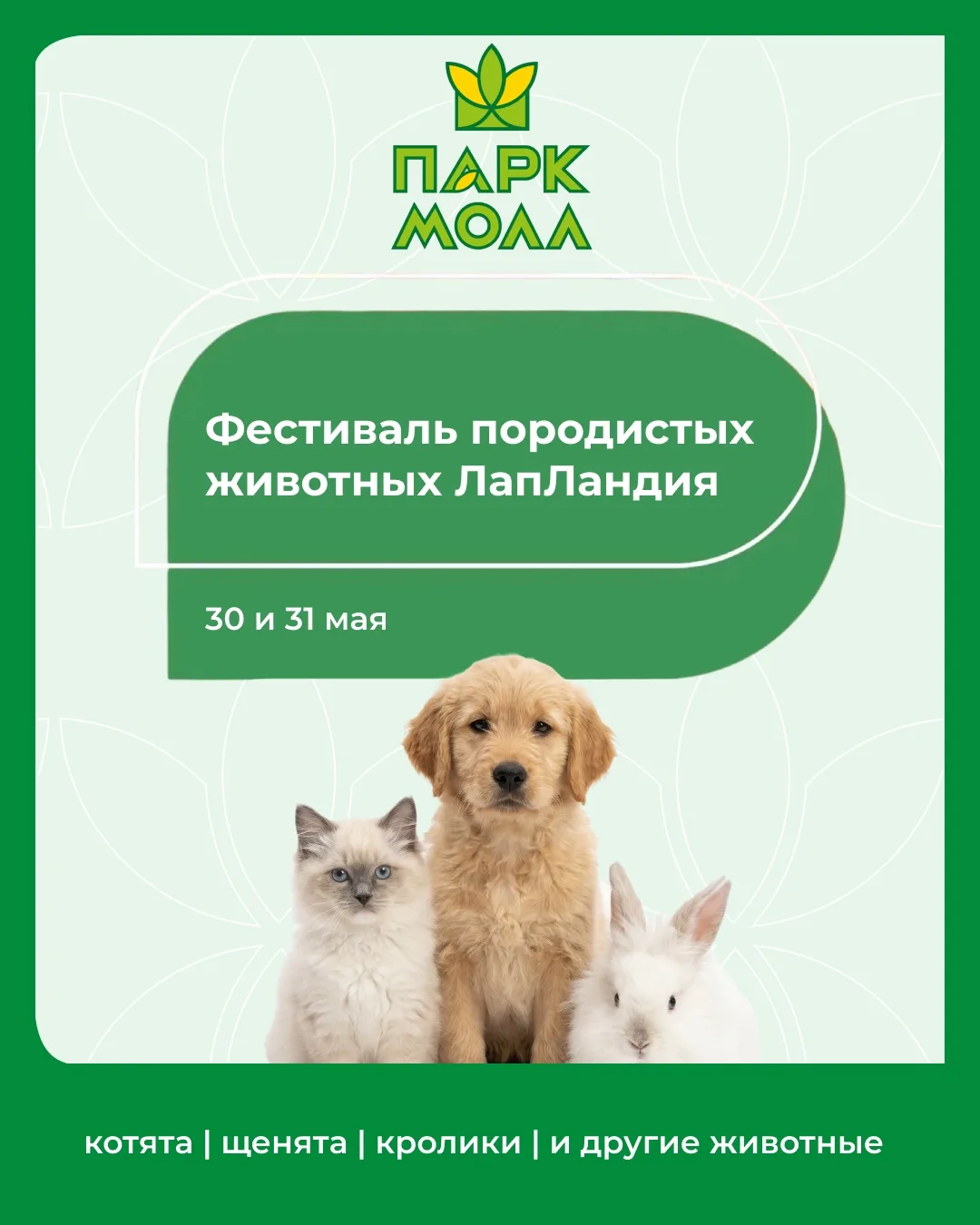 🐾 30 и 31 мая с 12:00 до 19:00 фестиваль породистых животных «ЛапЛандия» возвращается ...