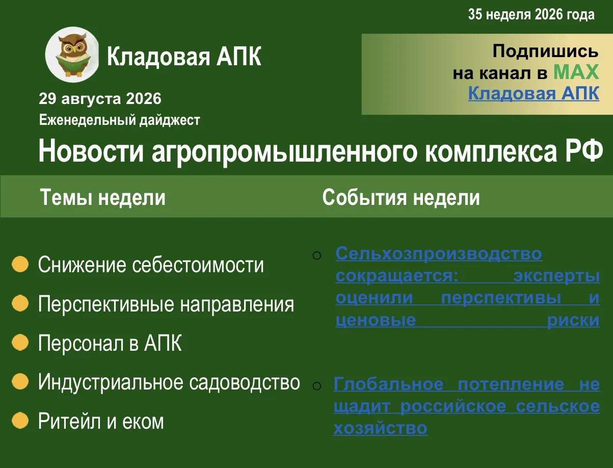☀️ Еженедельный дайджест: