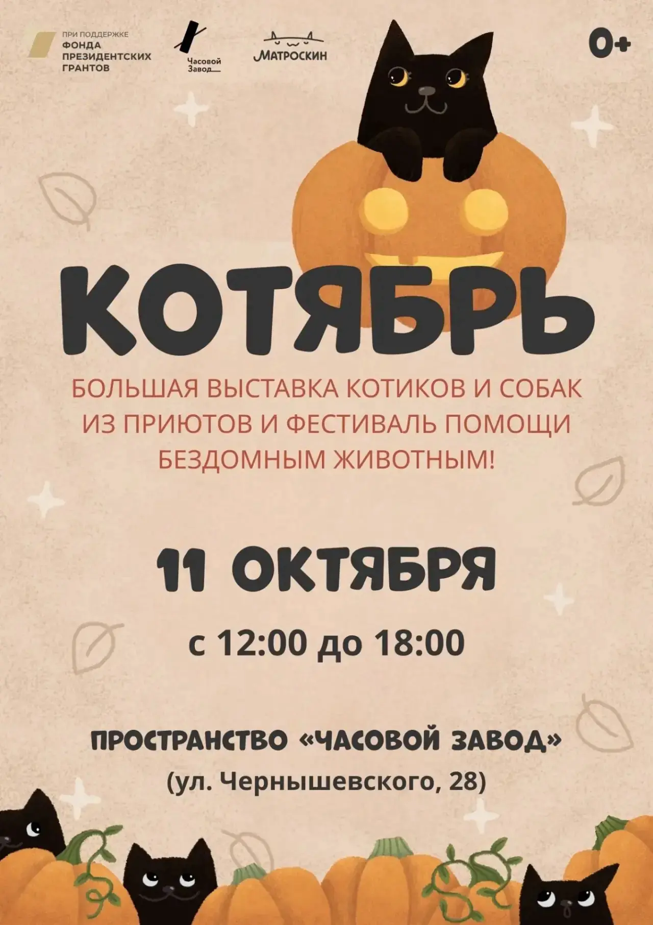 Благотворительный фестиваль «Котябрь»