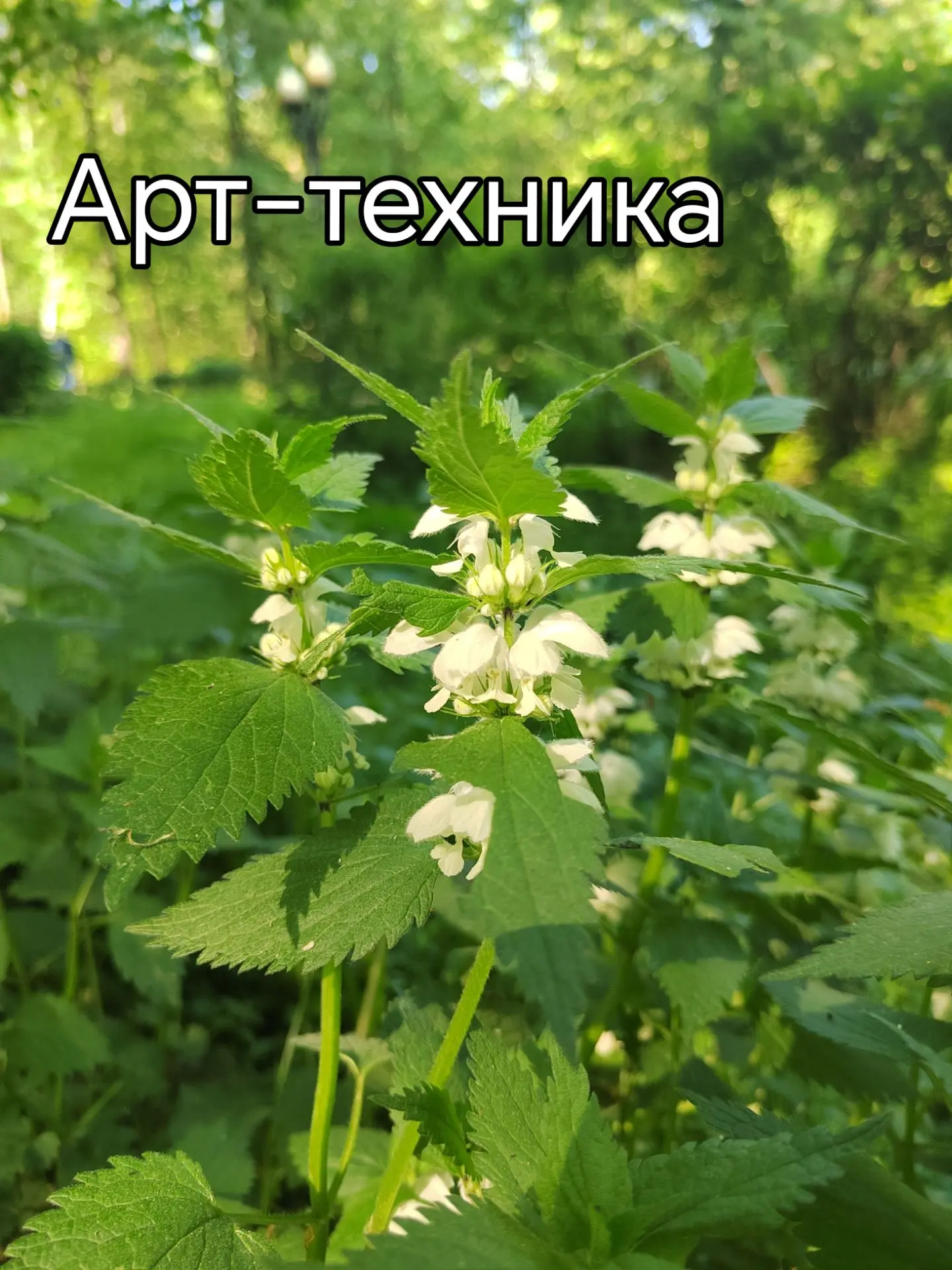 #арттехника