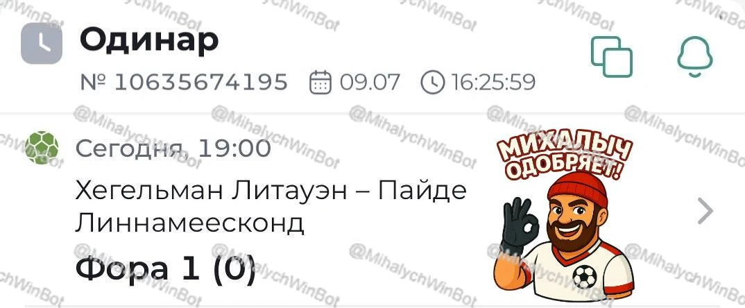 Хегельман Литауэн — Пайде Линнамеесконд. Лига конференций, квалификация. Прогноз: Хегельман Литауэн 
