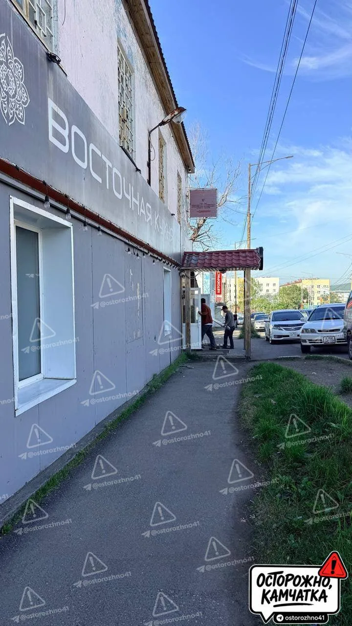 🔞  Осторожно, подкормка бродячих собак

#намприлетело 
«6 км возле узбечки «Чайхана». 
Владельцы на