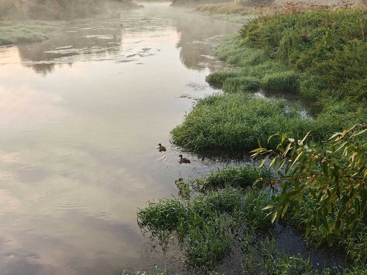 🍂 Осень стучится в двери Красноармейска