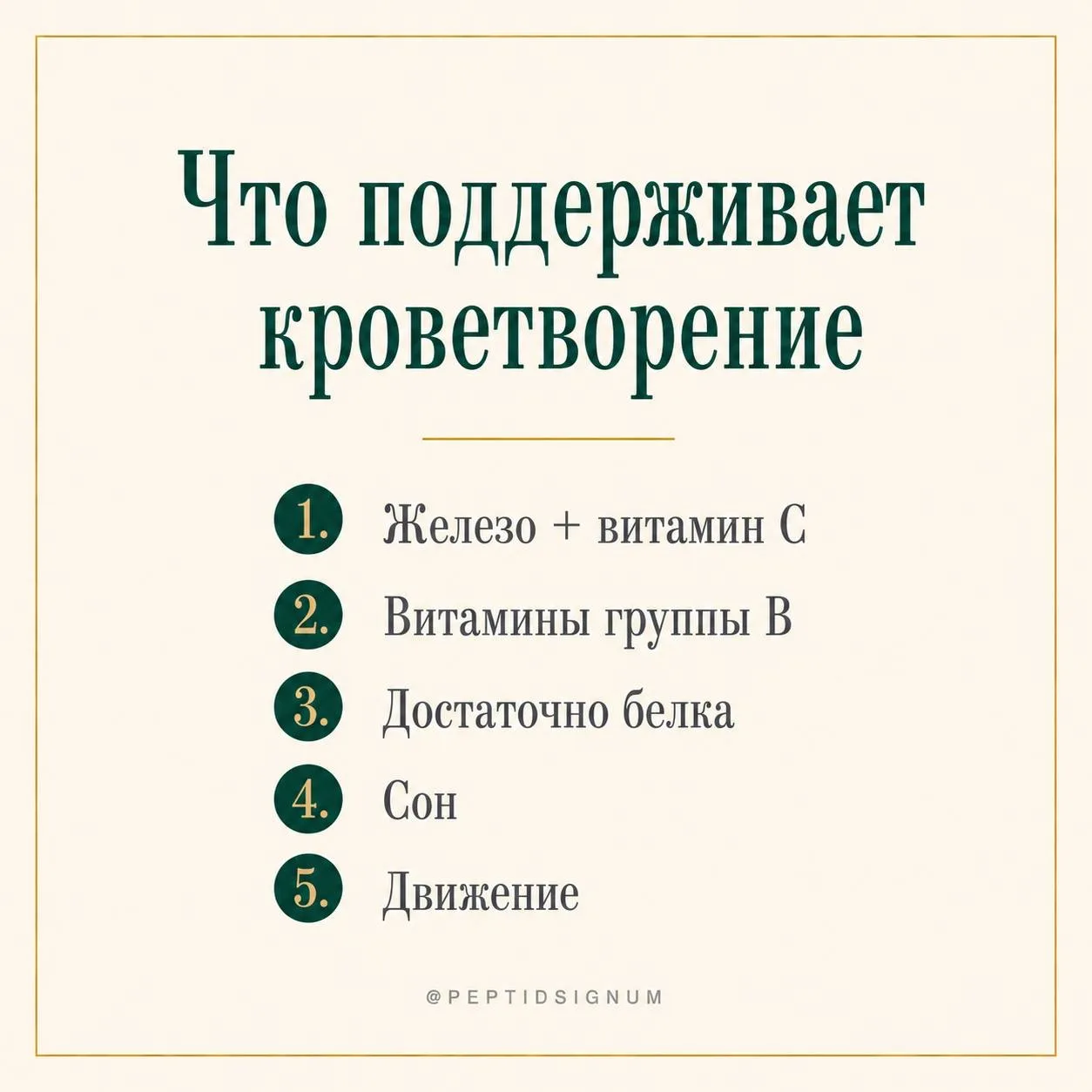 Что поддерживает нормальное кроветворение — без БАД и сложных схем