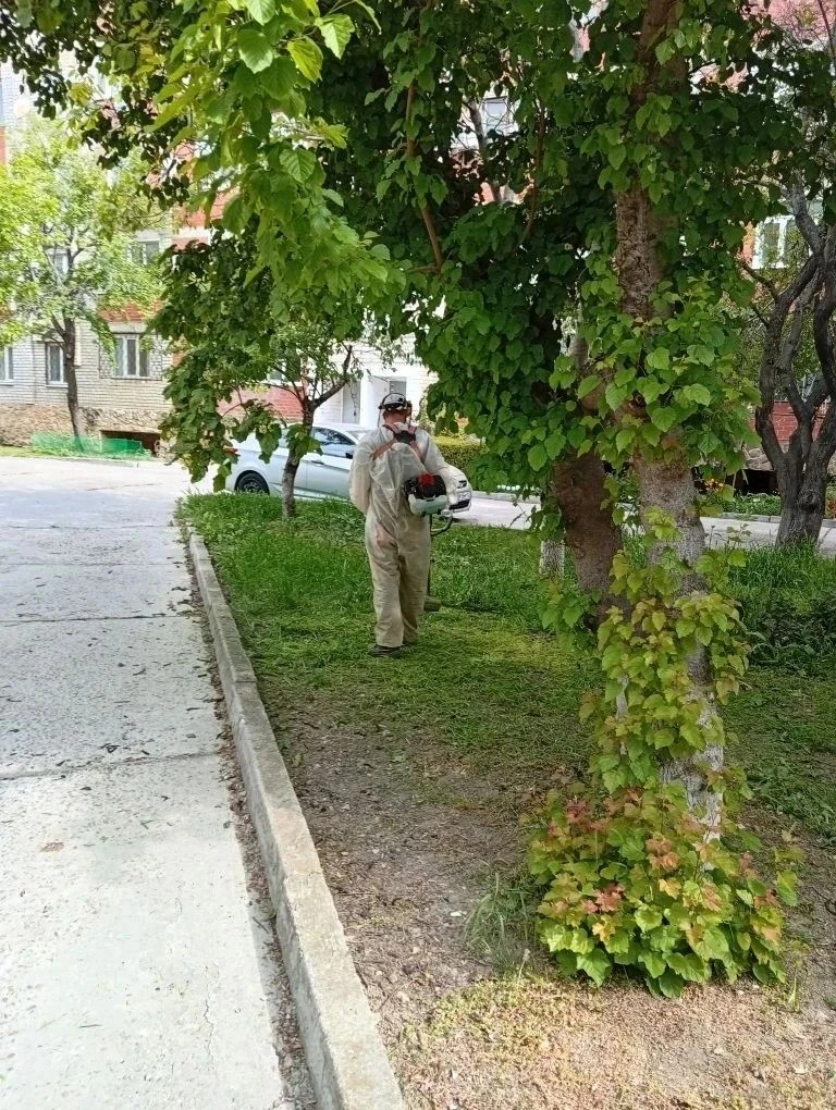 ✅ Выполнялись покосы