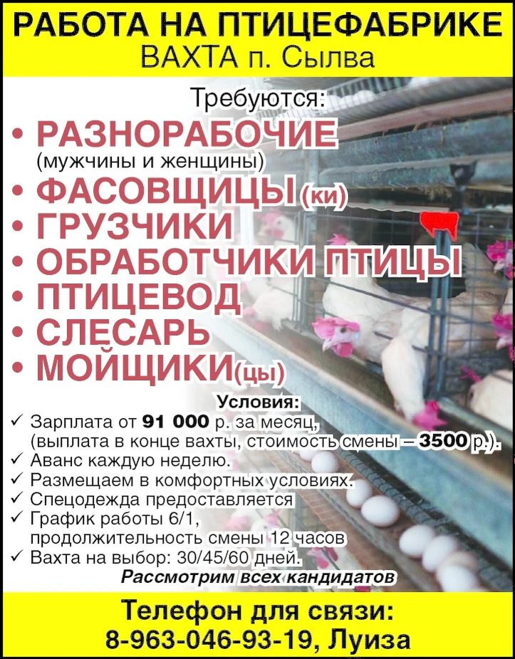 РАБОТА НА ПТИЦЕФАБРИКЕ ВАХТА п. Сылва. Требуются: