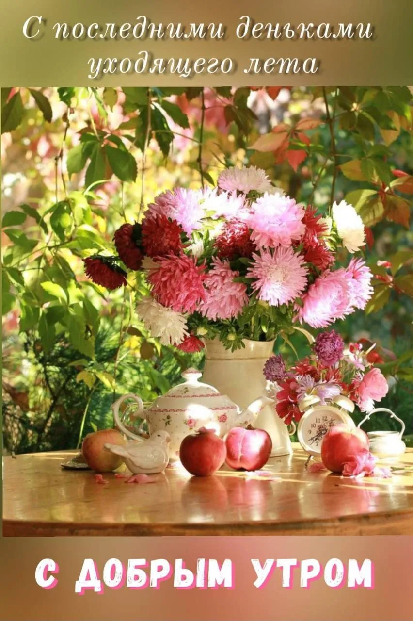 Женские открытки💝