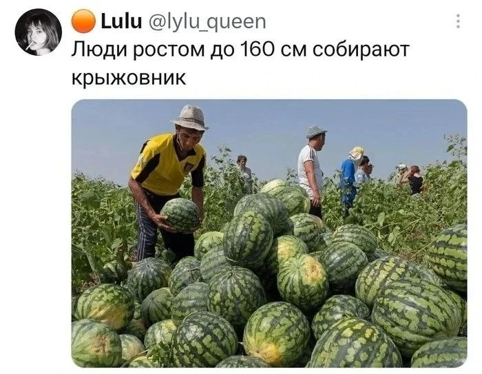 Сезон