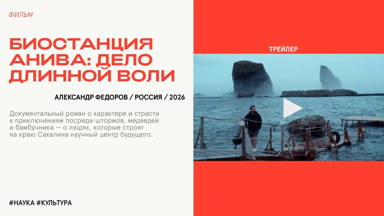 Скоро в Нижнем снова пройдет фестиваль документального кино о культуре Beat Weekend – в...