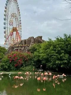 💃🎡Любите приключения?🤩