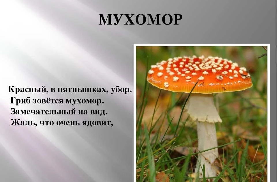 Наши маленькие творцы из группы «Радуга» снова радуют нас! 🍄