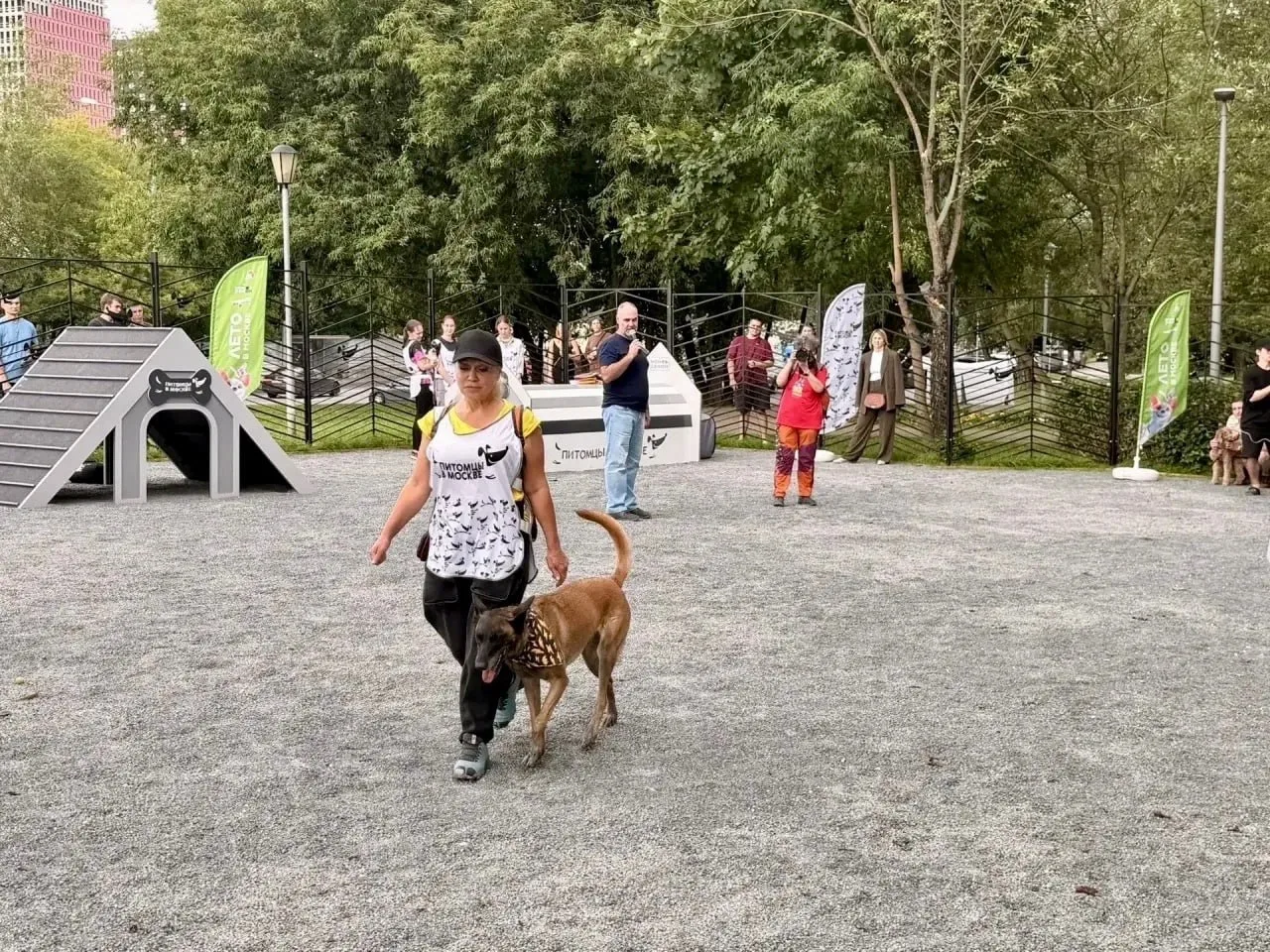 🐶 На Красных Зорь открыли обновлённую площадку для собак