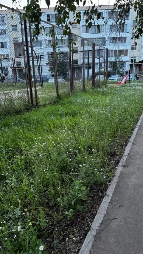 - Пролетарская улица, 38. Скосить траву, - требует Диляра Р.