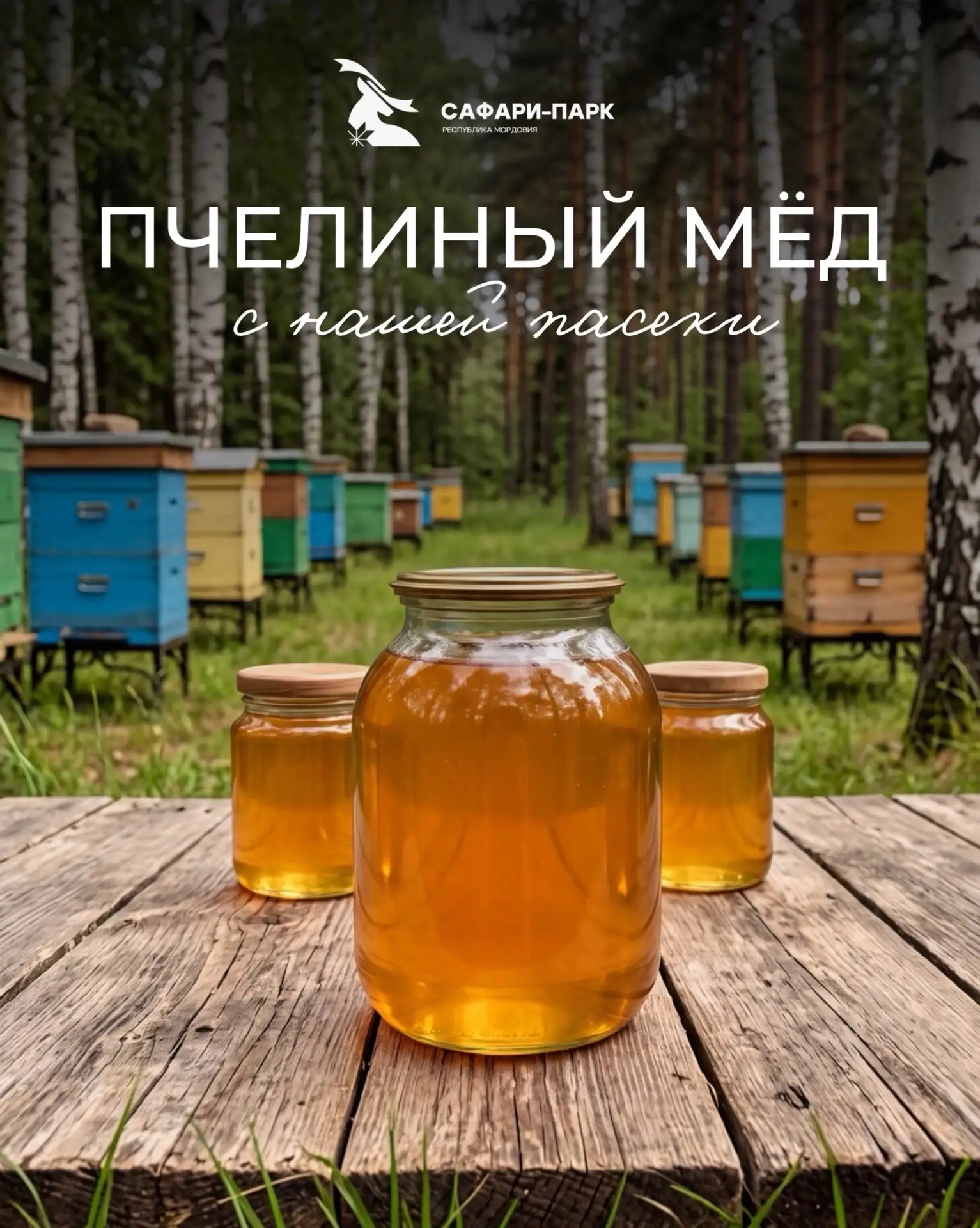 🍯 Свежий мёд урожая 2026 года уже в продаже!